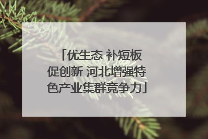 优生态 补短板 促创新 河北增强特色产业集群竞争力