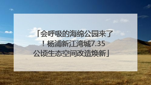 会呼吸的海绵公园来了！杨浦新江湾城7.35公顷生态空间改造焕新