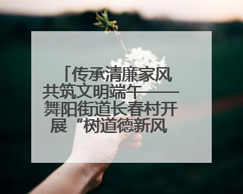 传承清廉家风 共筑文明端午——舞阳街道长春村开展“树道德新风 扬端午文化”主题活动