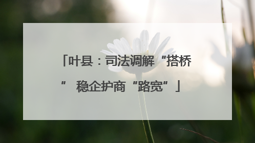 叶县：司法调解“搭桥” 稳企护商“路宽”