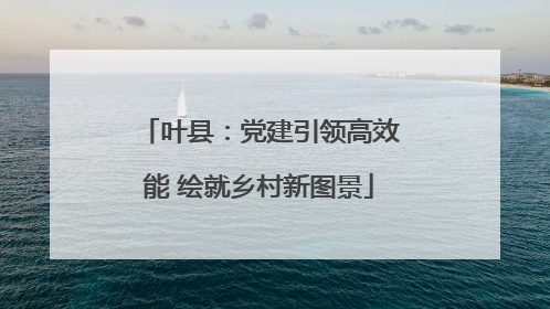 叶县：党建引领高效能 绘就乡村新图景