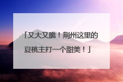 又大又脆！荆州这里的夏桃主打一个甜美！