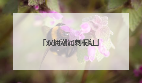 双拥潮涌刺桐红