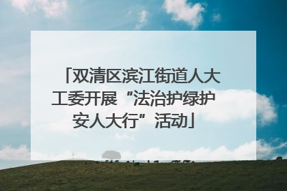 双清区滨江街道人大工委开展“法治护绿护安人大行”活动