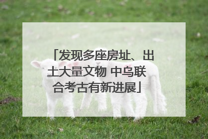发现多座房址、出土大量文物 中乌联合考古有新进展