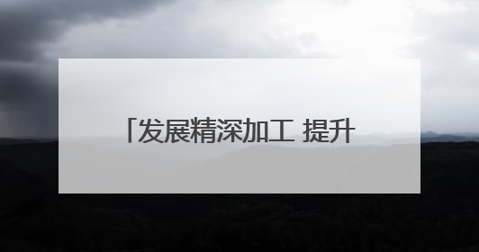 发展精深加工 提升附加值 湖南生猪产业谋求全链条转型
