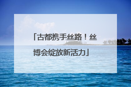 古都携手丝路！丝博会绽放新活力