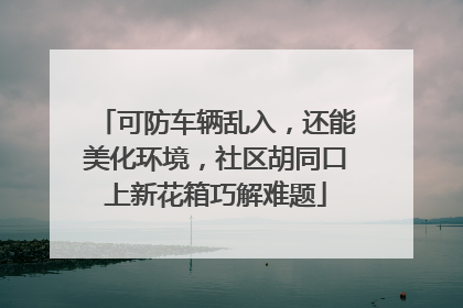 可防车辆乱入，还能美化环境，社区胡同口上新花箱巧解难题