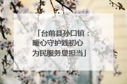 台前县孙口镇：暖心守护践初心 为民服务显担当
