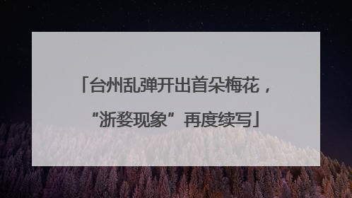 台州乱弹开出首朵梅花，“浙婺现象”再度续写