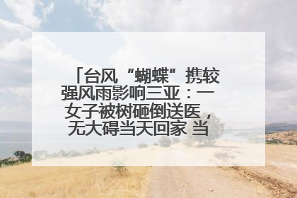 台风“蝴蝶”携较强风雨影响三亚：一女子被树砸倒送医，无大碍当天回家 当地已紧急清障