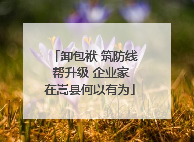 卸包袱 筑防线 帮升级 企业家在嵩县何以有为