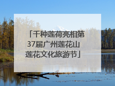 千种莲荷亮相第37届广州莲花山莲花文化旅游节