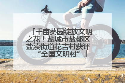 千亩葵园绽放文明之花！盐城市盐都区盐渎街道花吉村获评“全国文明村”