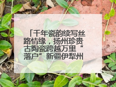 千年瓷韵续写丝路情缘，扬州珍贵古陶瓷跨越万里“落户”新疆伊犁州博物馆