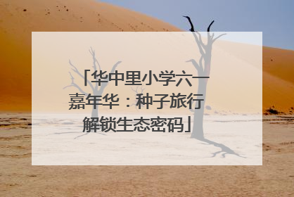 华中里小学六一嘉年华：种子旅行解锁生态密码