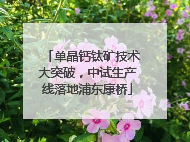 单晶钙钛矿技术大突破，中试生产线落地浦东康桥