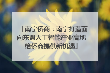 南宁侨商：南宁打造面向东盟人工智能产业高地给侨商提供新机遇