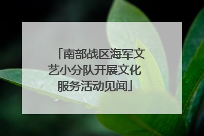 南部战区海军文艺小分队开展文化服务活动见闻