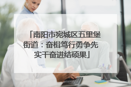 南阳市宛城区五里堡街道：奋楫笃行勇争先 实干奋进结硕果