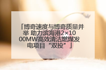 博奇速度与博奇质量并举 助力滨海港2×1000MW高效清洁燃煤发电项目“双投”