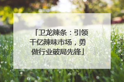 卫龙辣条：引领千亿辣味市场，勇做行业破局先锋