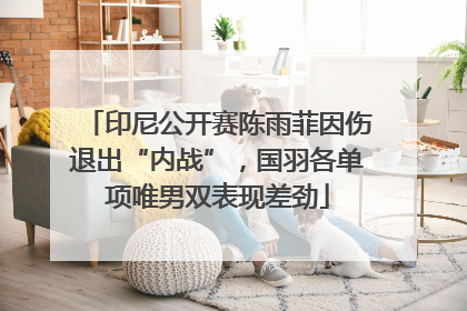 印尼公开赛陈雨菲因伤退出“内战”，国羽各单项唯男双表现差劲