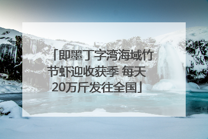 即墨丁字湾海域竹节虾迎收获季 每天20万斤发往全国