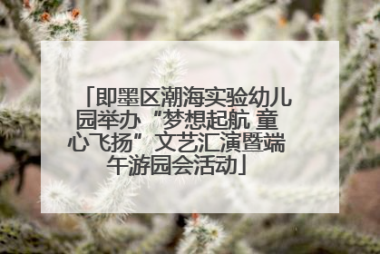 即墨区潮海实验幼儿园举办“梦想起航 童心飞扬”文艺汇演暨端午游园会活动