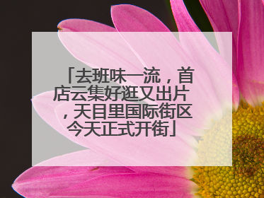 去班味一流，首店云集好逛又出片，天目里国际街区今天正式开街