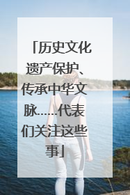 历史文化遗产保护、传承中华文脉……代表们关注这些事