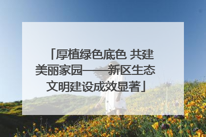 厚植绿色底色 共建美丽家园——新区生态文明建设成效显著