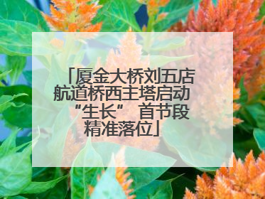 厦金大桥刘五店航道桥西主塔启动“生长” 首节段精准落位