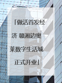 做活首发经济 赣湘边奥莱数字生活城正式开业