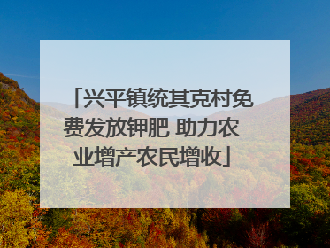兴平镇统其克村免费发放钾肥 助力农业增产农民增收
