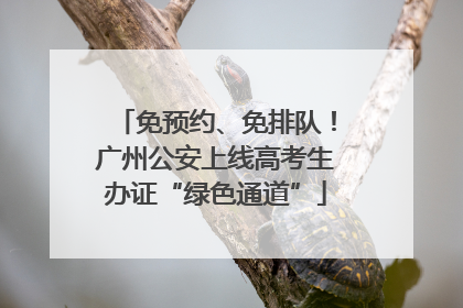 免预约、免排队！广州公安上线高考生办证“绿色通道”