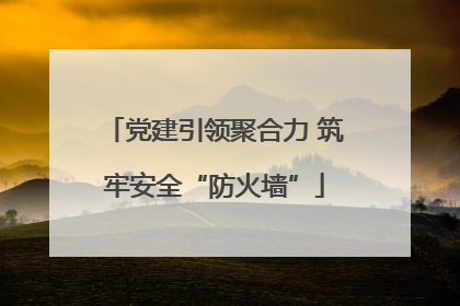 党建引领聚合力 筑牢安全“防火墙”