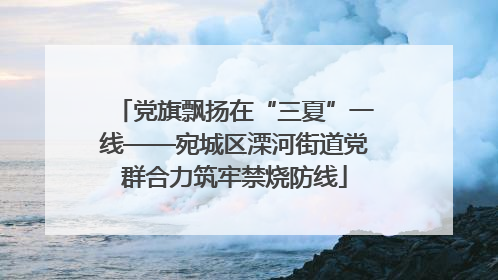 党旗飘扬在“三夏”一线——宛城区溧河街道党群合力筑牢禁烧防线