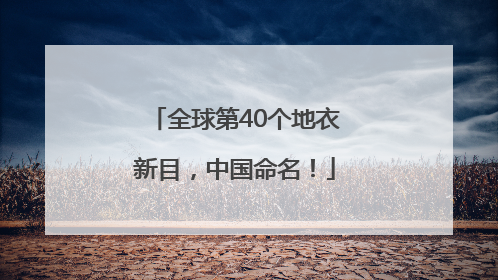 全球第40个地衣新目，中国命名！