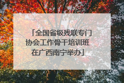 全国省级残联专门协会工作骨干培训班在广西南宁举办