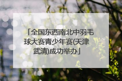 全国东西南北中羽毛球大赛青少年赛(天津武清)成功举办