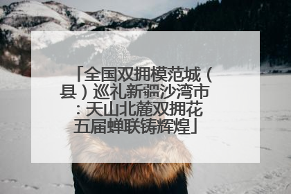 全国双拥模范城（县）巡礼新疆沙湾市：天山北麓双拥花 五届蝉联铸辉煌