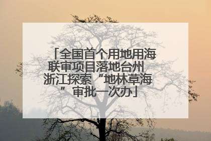 全国首个用地用海联审项目落地台州 浙江探索“地林草海”审批一次办