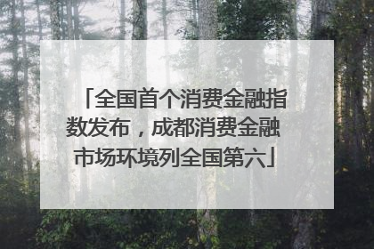 全国首个消费金融指数发布，成都消费金融市场环境列全国第六