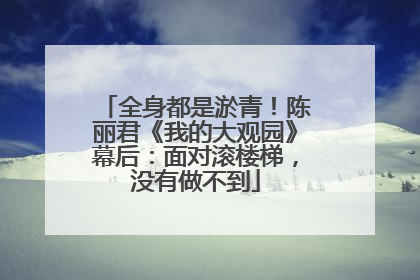 全身都是淤青！陈丽君《我的大观园》幕后：面对滚楼梯，没有做不到