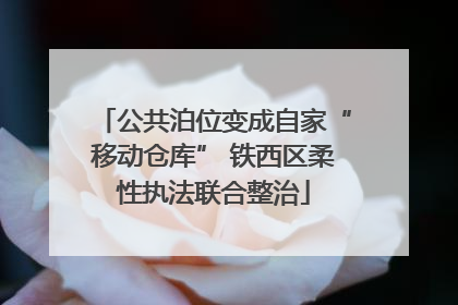 公共泊位变成自家“移动仓库” 铁西区柔性执法联合整治