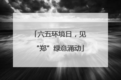 六五环境日，见“郑”绿意涌动