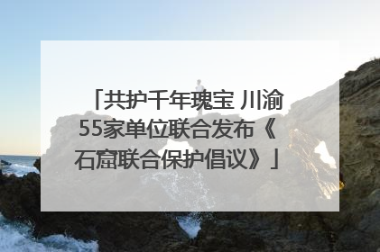 共护千年瑰宝 川渝55家单位联合发布《石窟联合保护倡议》