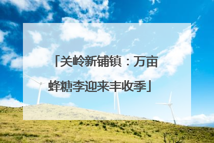 关岭新铺镇：万亩蜂糖李迎来丰收季