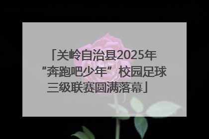 关岭自治县2025年“奔跑吧少年”校园足球三级联赛圆满落幕